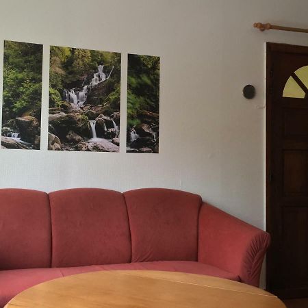 25 Bollendorf Βίλα Εξωτερικό φωτογραφία